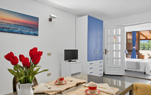 Bouganville - Photo 8