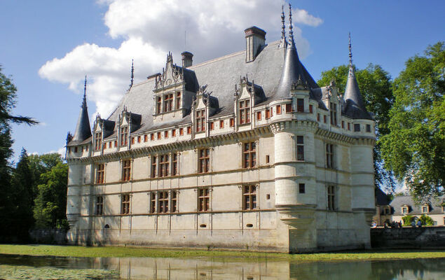 Les Landes du Chinonais - Photo 19