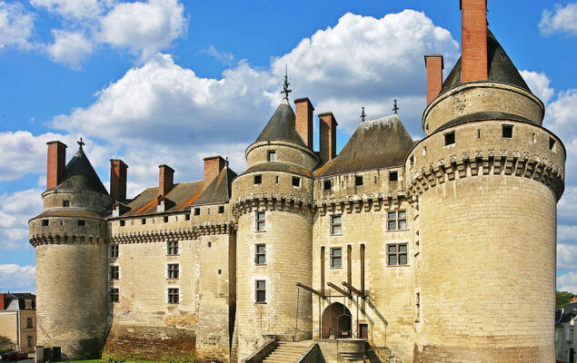 Les Landes du Chinonais - Photo 22