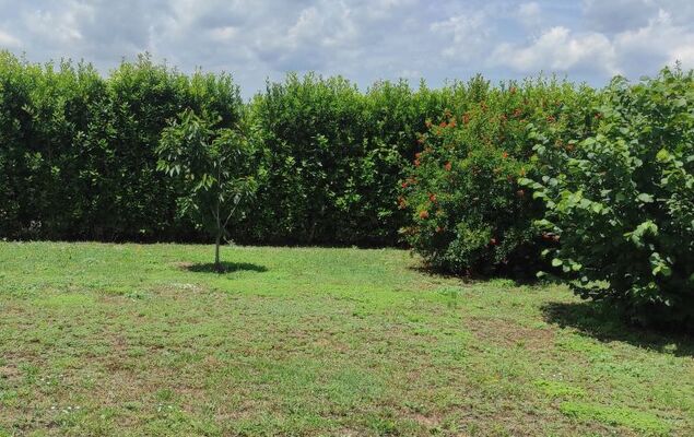 Amici Miei di Levante - Photo 21