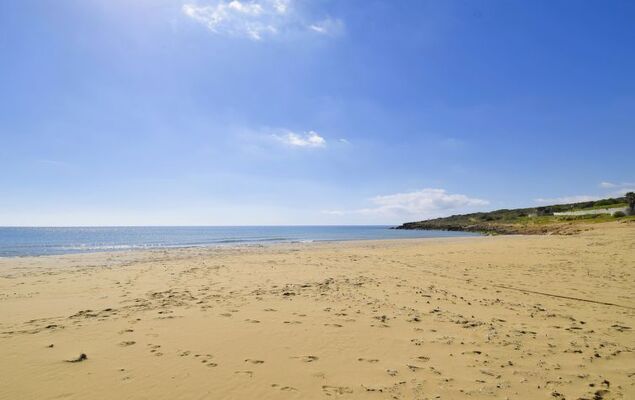 Amici Miei di Levante - Photo 30