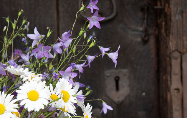 Troadkasten - Photo 16